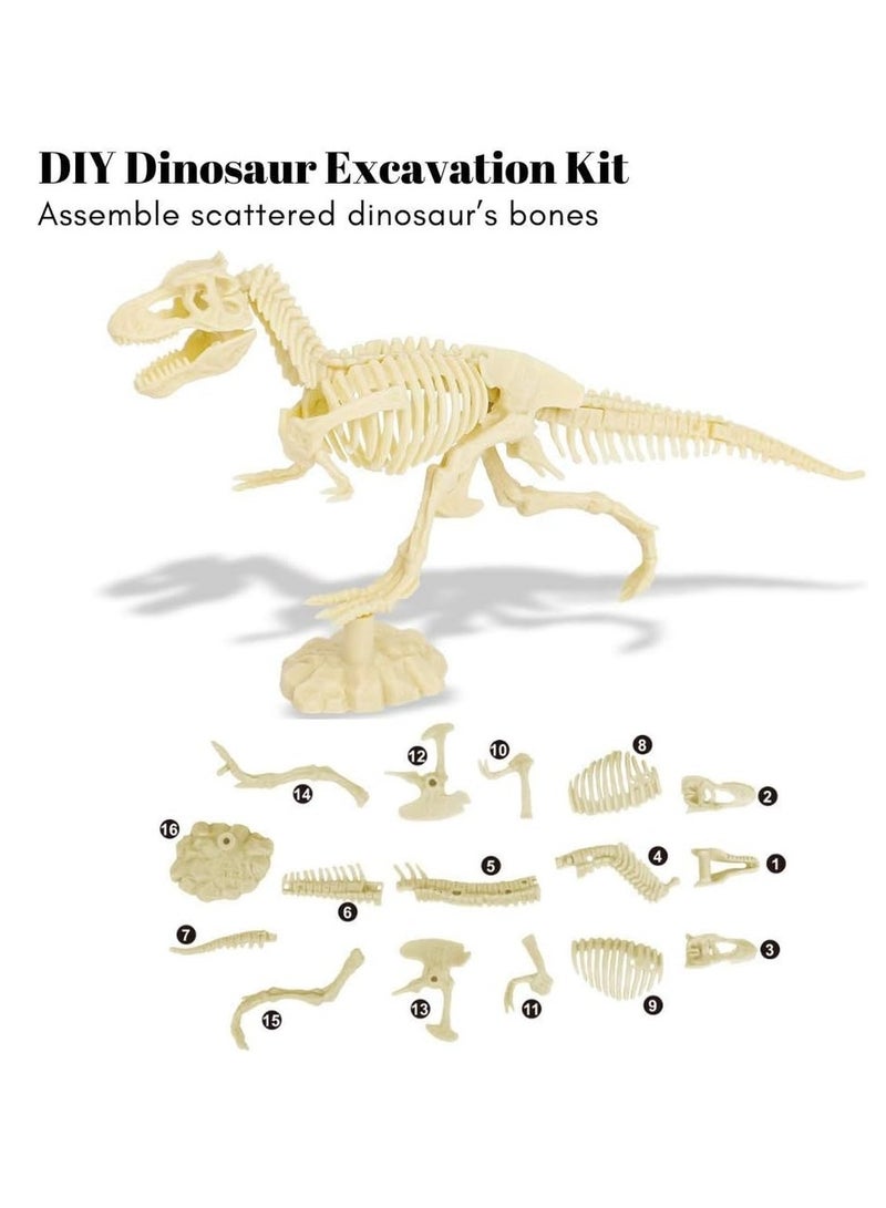 مجموعة أدوات التنقيب عن أحافير التيرانوصور - D7139G - Image 2