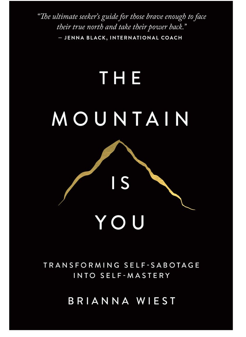 null - The Mountain Is You: Transforming Self-Sabotage Into Self-Mastery - Image 1