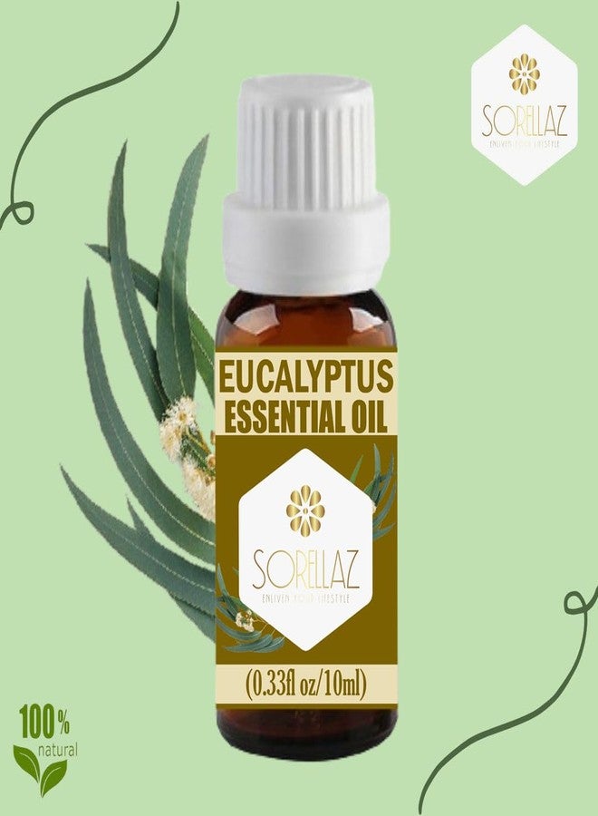 Sorellaz Eucalyptus Essential Oil 0.33fl oz/10ml l Eucalyptus Globulus l 100% Natural & Undiluted l with Easy to Use Euro Dropper - Image 3