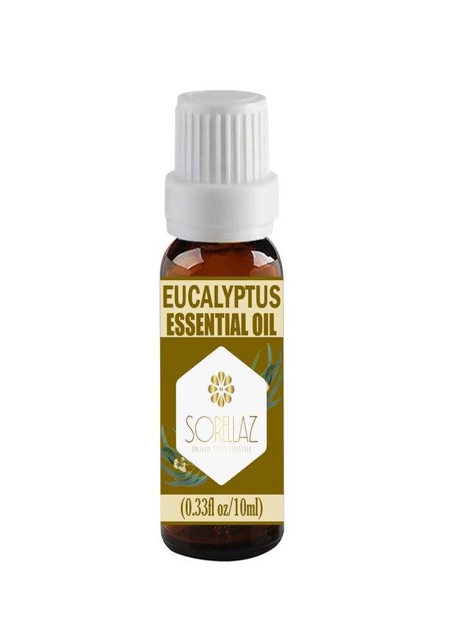 Sorellaz Eucalyptus Essential Oil 0.33fl oz/10ml l Eucalyptus Globulus l 100% Natural & Undiluted l with Easy to Use Euro Dropper - Image 1