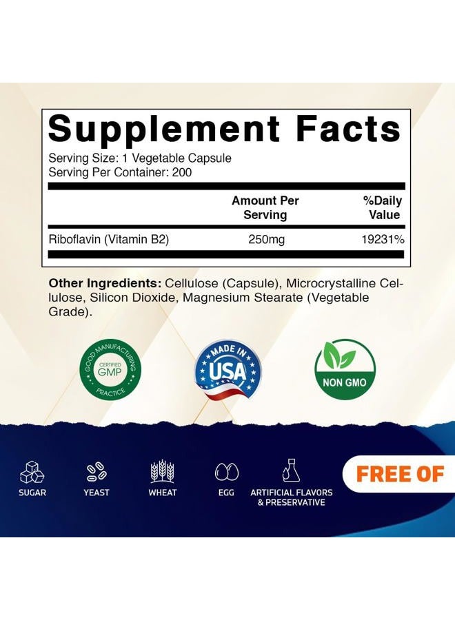 Vitamatic Vitamin B2 (Riboflavin) 250 mg - 200 Capsules Support Cellular Energy & Red Blood Cell Production - Image 2