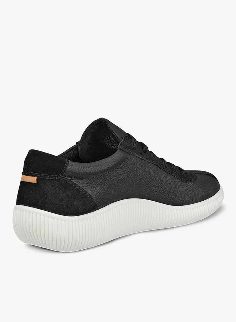 إيكو إيكو سوفت زيرو إم أسود