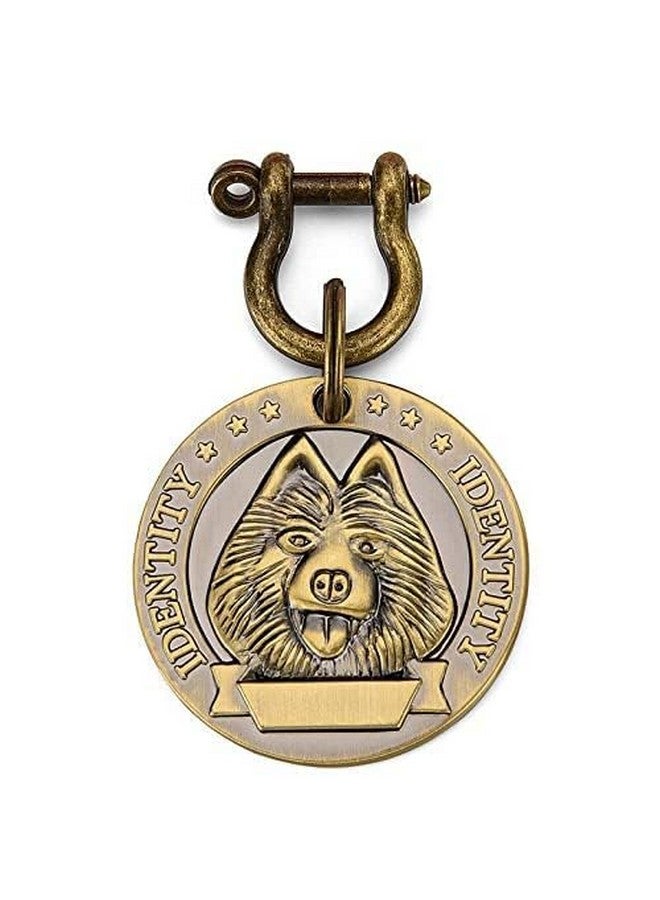 طوق ذهبي عتيق متين على شكل دائري للحيوانات الأليفة، علامة نحاسية مستوردة، طوق هوية مثالي لتزيين رقبة الجراء والكلاب - Image 1