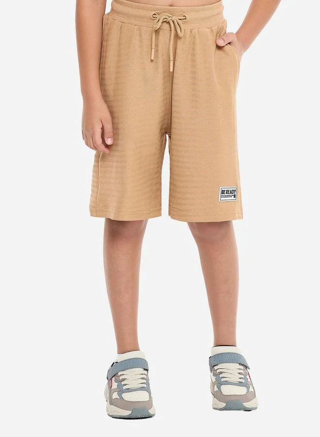 victor and jane Victor And Jane Boys Brown Embroidered T-Shirt and Shorts Set