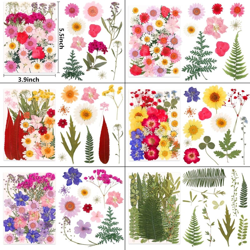 NESCCI 210 Pcs Dried Pressed Flowers for Resin,Real Nature Dried Flowers for Crafts Bulk Dry Flowers Leaves Kit Used for Resin Molds Scrapbooking DIY Art Crafts Candle Soap Making Nails Décor - Image 2