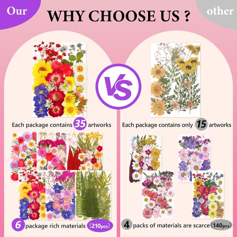 NESCCI 210 Pcs Dried Pressed Flowers for Resin,Real Nature Dried Flowers for Crafts Bulk Dry Flowers Leaves Kit Used for Resin Molds Scrapbooking DIY Art Crafts Candle Soap Making Nails Décor - Image 3
