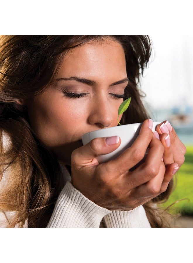 Tea Forte فنجان شاي تيفورتي كافيه أبيض من البورسلين مع غطاء، سعة 8 أونصات، آمن للاستخدام في الميكروويف وغسالة الصحون - Image 4