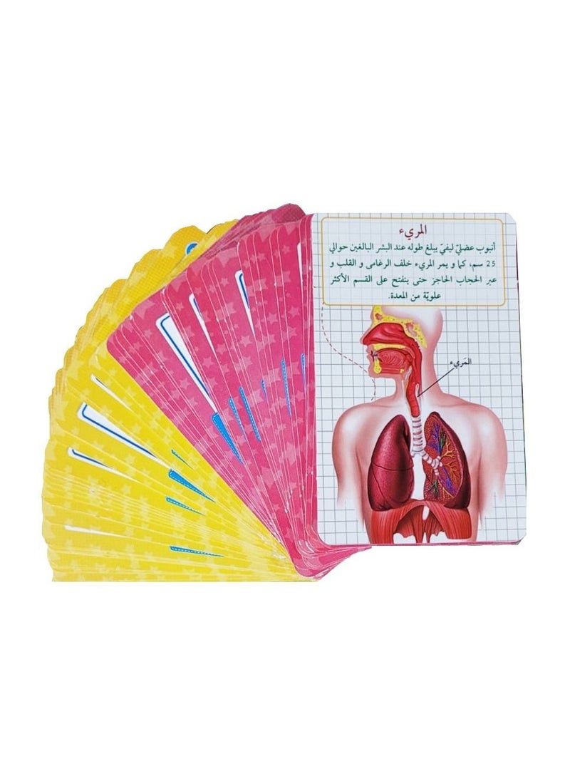 Toys Human Body Question And Answer  - Image 3