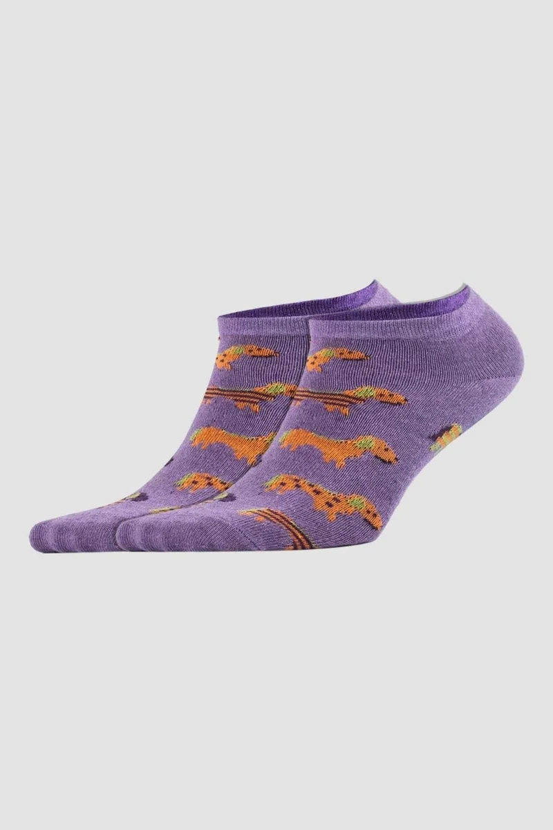 Socksmax Women's Cotton 3 Pairs Patterned Booties Socks – 1711