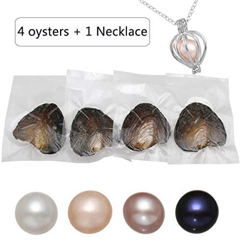 Magnitt Freshwater Pearl Oyster Cultured Love Wish Round Pearls Various Shining Meaningful Color, Oysters with Pearls Inside with DIY Necklace Pearl Kit Gift for Women (7-8mm/4Pcs) - Image 2