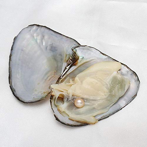 Magnitt Freshwater Pearl Oyster Cultured Love Wish Round Pearls Various Shining Meaningful Color, Oysters with Pearls Inside with DIY Necklace Pearl Kit Gift for Women (7-8mm/4Pcs) - Image 3