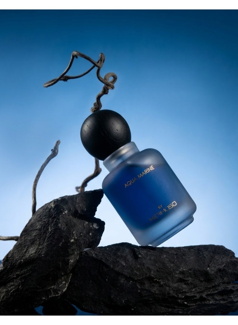 Hermoso Aqua Marine Eau de Parfum 100ml | Long-Lasting Fresh Citrus & Marine Fragrance for Men | Premium EDP - Image 1