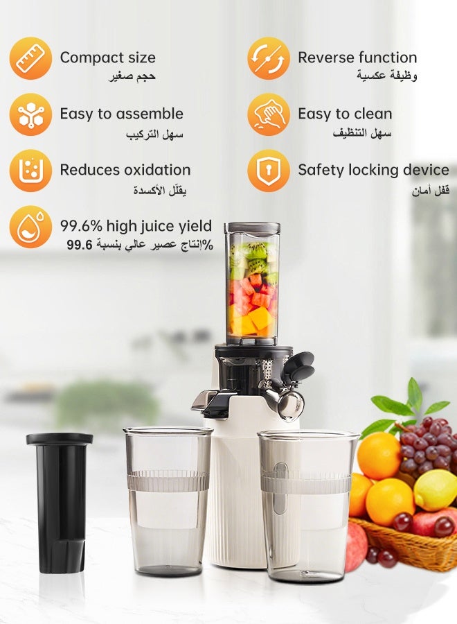  كاو بطيئة العصارة المزينة ， آلة عصير الصحافة الباردة ، عصارة بطيئة صغيرة للخضروات والفواكه ، عائد عصير عالي ، مرشحات ثنائية ، خالية من BPA ، سهلة التنظيف. - Image 2