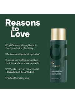 ColorProof Colorproof Baobab Recovery Shampoo, 1.7oz - For Damaged Color-Treated Hair, Strengthens & Repairs, Sulfate-Free, Vegan  - Image 4