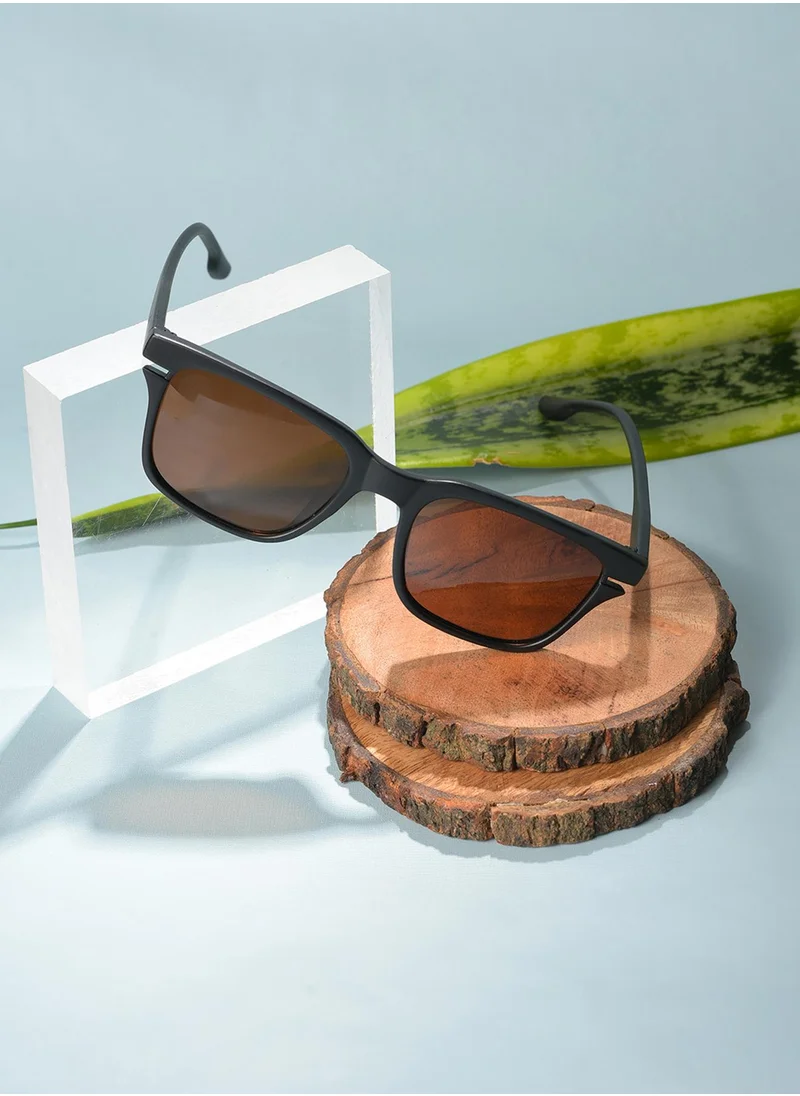 Haute Sauce Brown Lens Black Butterfly Sunglasses