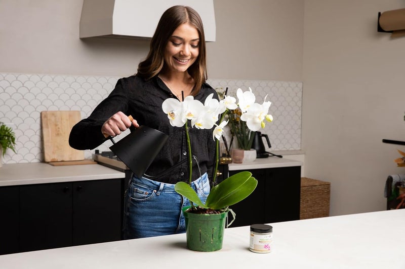 rePotme Orchid Pot Growers Assortment - 8 Slotted Clear Orchid Pots (2 Each of 3, 4, 5, 6 Inch) for Optimal Orchid Growth - Image 3