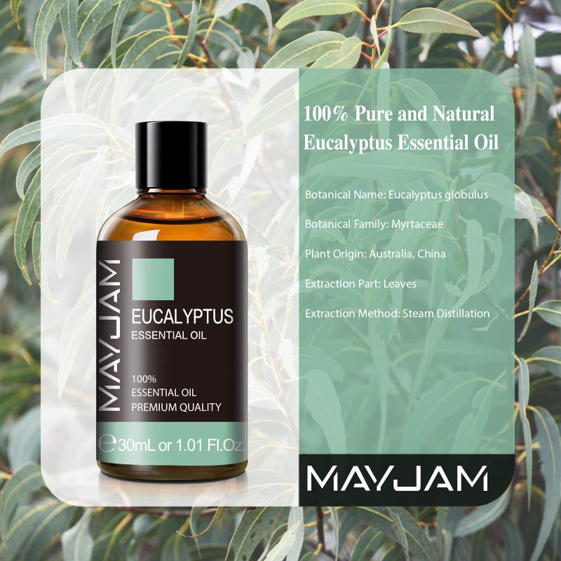 MAYJAM Eucalyptus Essential Oil, MAYJAM 30ML/1.01FL.OZ Pure Eucalyptus Oils for Diffusers, Soap Candle Making, Perfect for Living Room Bedroom Office Car Use - Image 3