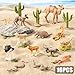 THINKBAY 16PCS Desert Animals Toys for Kids Includes Lizard Cactus Rattlesnake Komodo Dragon Figurines Desert Animals Figures for Diorama Cake Toppers Valentines Day Gifts for Kids - Image 4
