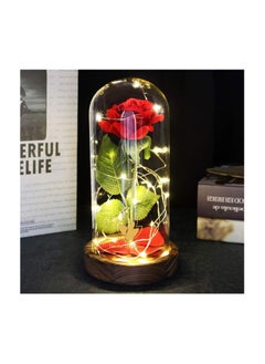 Generic Beauty and The Beast Rose in Glass Pot, Red Artificial Rose Forever Unique Gifts for Women Christmas Wedding Valentine's Day Anniversary Birthday  - Image 2
