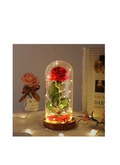 Generic Beauty and The Beast Rose in Glass Pot, Red Artificial Rose Forever Unique Gifts for Women Christmas Wedding Valentine's Day Anniversary Birthday  - Image 1