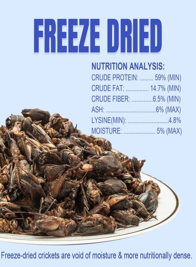 Amzey Appetizing Mealworms Natural Dried Crickets - Food for Bearded Dragons, Wild Birds, Chickens, Fish - (8 oz Resealable Bag) - Veterinary Certified - Image 2