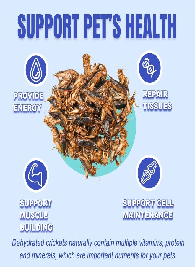 Amzey Appetizing Mealworms Natural Dried Crickets - Food for Bearded Dragons, Wild Birds, Chickens, Fish - (8 oz Resealable Bag) - Veterinary Certified - Image 3