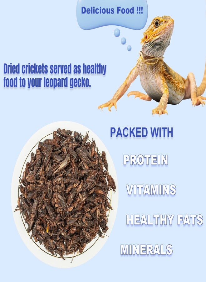 Amzey Appetizing Mealworms Natural Dried Crickets - Food for Bearded Dragons, Wild Birds, Chickens, Fish - (8 oz Resealable Bag) - Veterinary Certified - Image 4