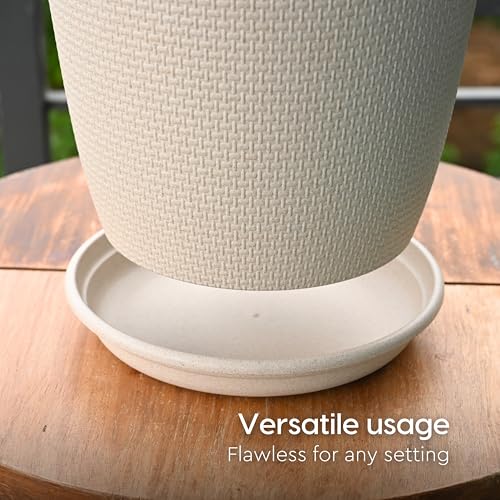 Eha Earth Friendly Heavy Duty Planter Pot Bottom Plate | Set of 6, 8 Inch | UV Treated Round Bottom Plate | Plant Tray Made with Rice Husk Biocomposite | Sand Castle - Image 5