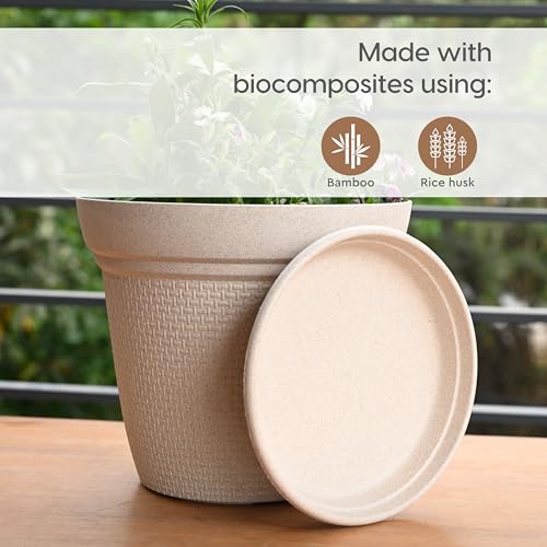 Eha Earth Friendly Heavy Duty Planter Pot Bottom Plate | Set of 6, 8 Inch | UV Treated Round Bottom Plate | Plant Tray Made with Rice Husk Biocomposite | Sand Castle - Image 3