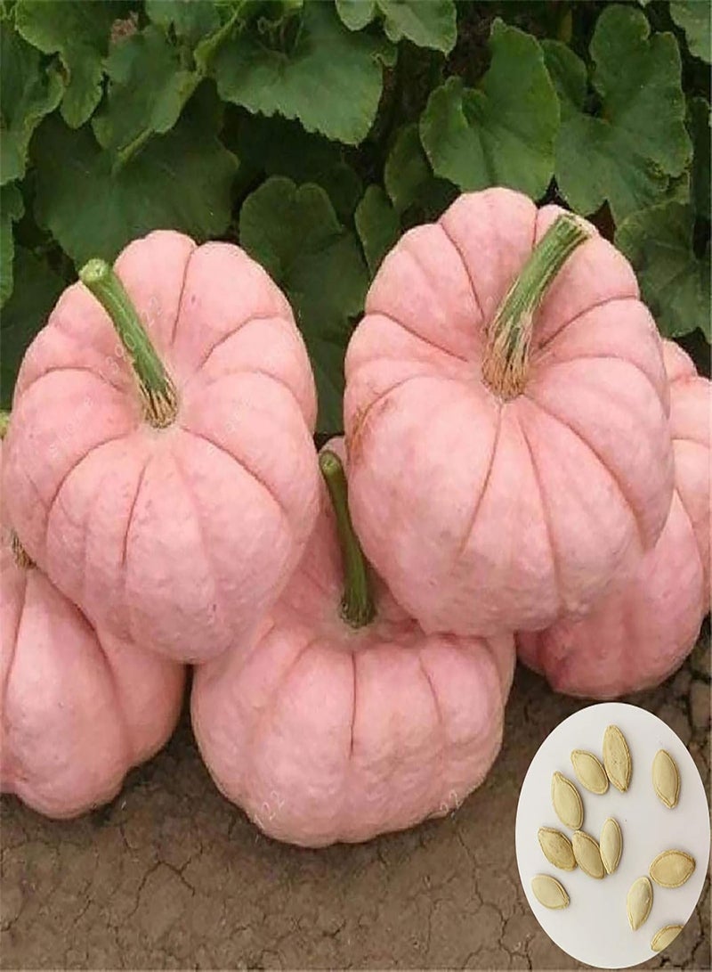 GGOOT Plant Seeds Flower Seeds1 Bag Pink Pumpkin Seed Novel Convenient to Plant Annual Plant Pear Pumpkin Seed for Farm Cucurbitaceae Seed for Yard - Image 1