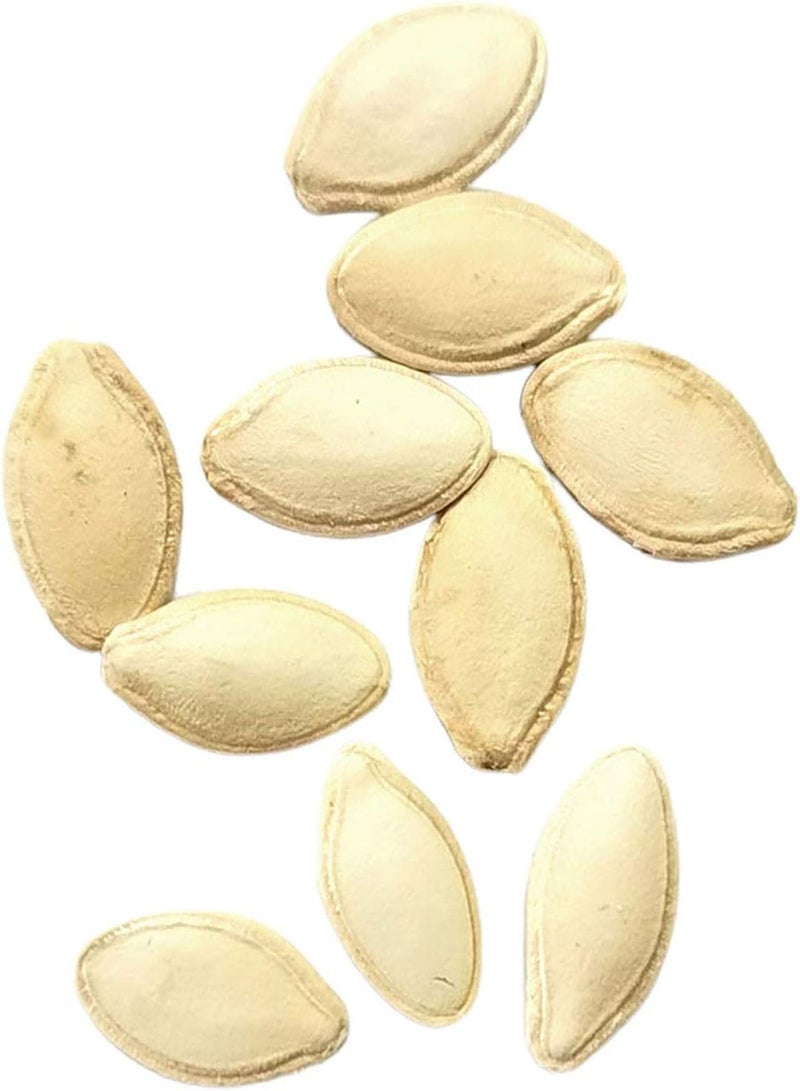 GGOOT Plant Seeds Flower Seeds1 Bag Pink Pumpkin Seed Novel Convenient to Plant Annual Plant Pear Pumpkin Seed for Farm Cucurbitaceae Seed for Yard - Image 3