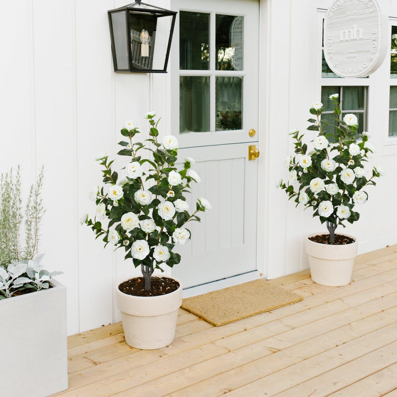 MHMJON 2 Pack 43.3"/3.6FT Artificial Camellia Tree Fake Outdoor Tree with 32 Blooming Flowers White Tree for Home Front Door Winter Christmas Indoor Decor (Including Dried Moss) - Image 4