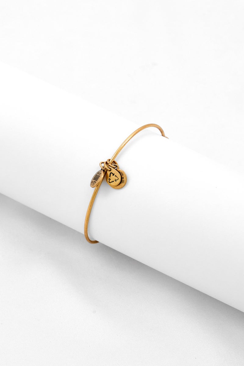 ALEX AND ANI Women Rhode Island Charm Bracelet, Gold  - Image 3