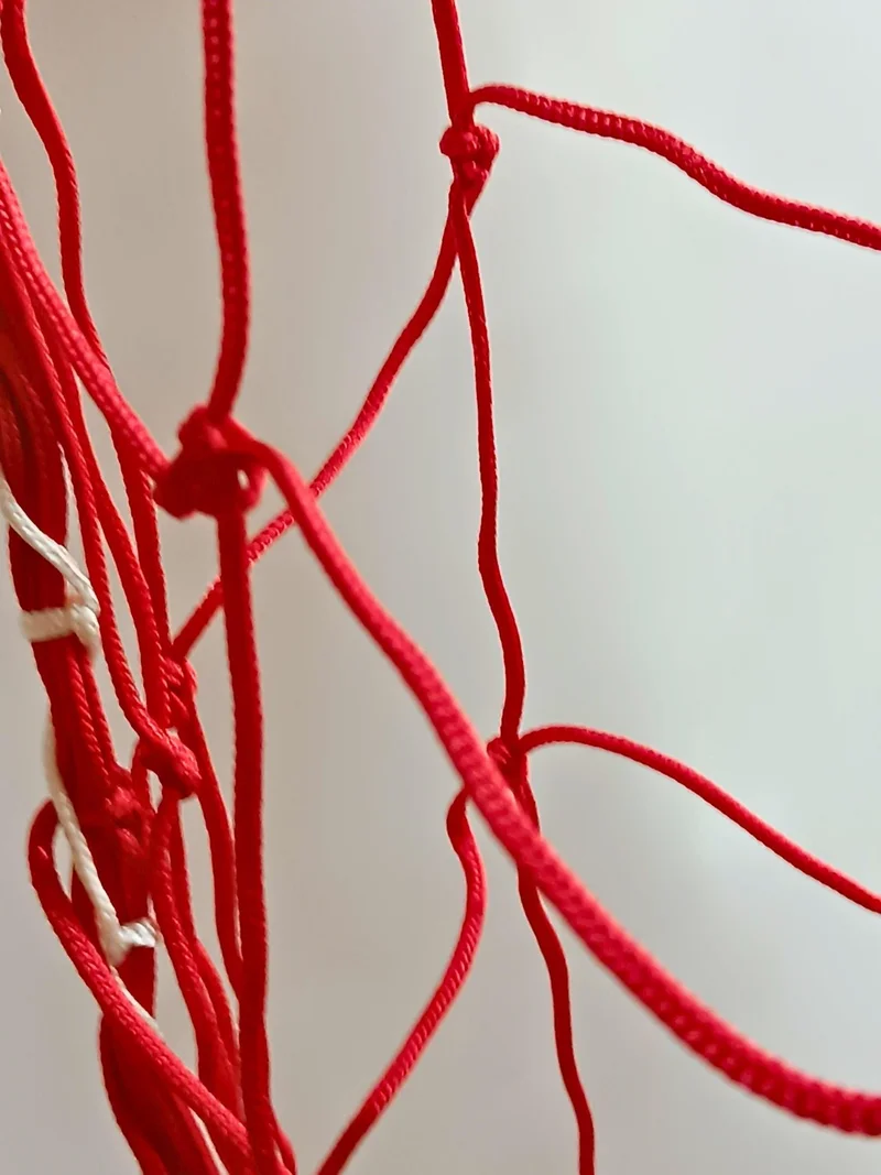 adelinspor Football Goal Net 2.5 mm Cord Rope Red 7.32*2.44*2.0 M
