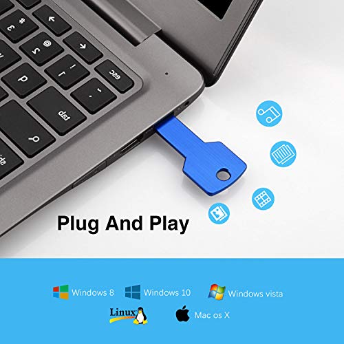 RAOYI 10 Pack 4GB USB Flash Drive USB 2.0 Metal Key Shape Memory Stick Thumb Drive Pen Drive-Blue - Image 4