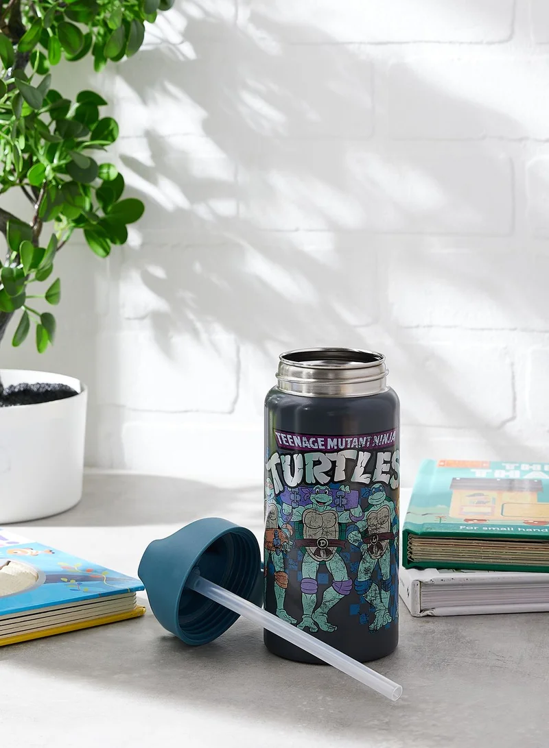 Cotton On Ninja Turtle Kids Metal Drink Bottle