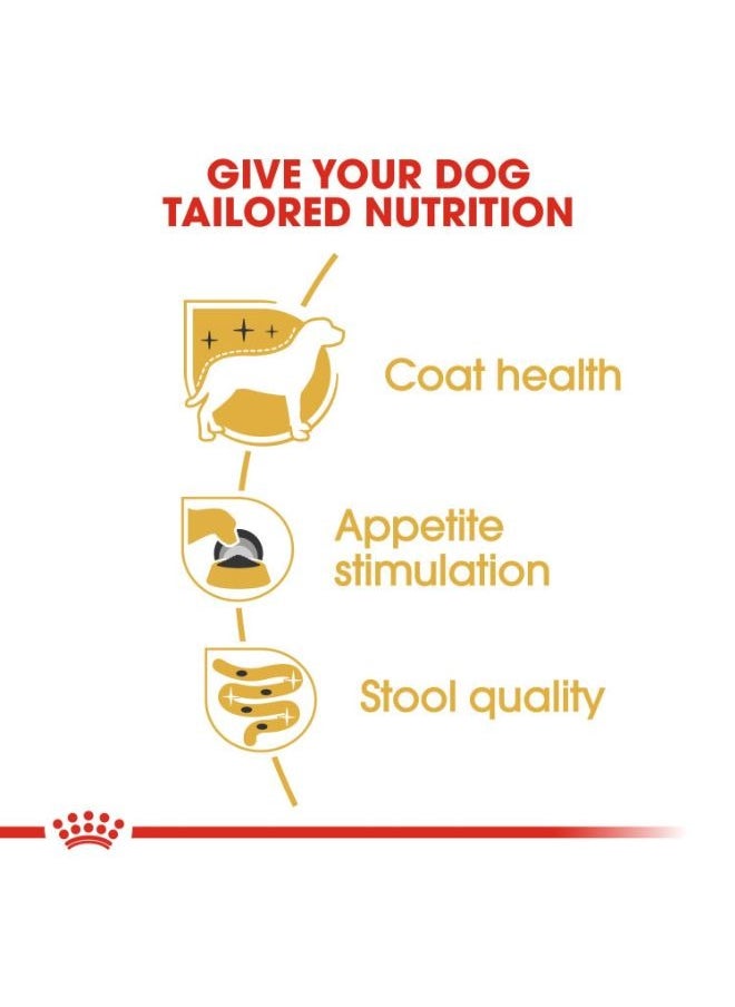 ROYAL CANIN Breed Health Nutrition Yorkshire Adult Wet Food Pouches  - Image 3