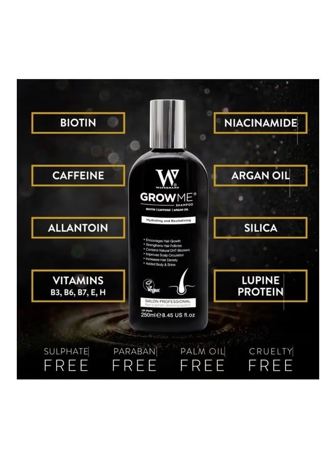 واترمانز شامبو - بيوتين، كافيين، زيت أرغان لترطيب وتجديد الشعر 250 مل وبلسم - بلسم لنمو الشعر 250 مل - Image 2