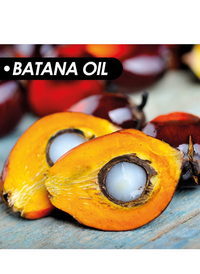 EELHOE - Batana Oil for Hair Growth  Batana Oil - Batana Oil Organic for Healthy Hair - Repair Damaged Hair, Nourishes Thin Hair Scalp Skin and Loss Hair Growth Fir for All Hair Types - 30 ml - Image 1
