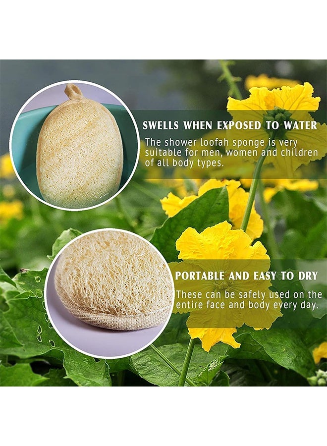 JS 3 Packs Natural Body Brush Loofah Bath, Loofah Bath Sponge Cleaning Exfoliation, Body Loofah Back Scrub - Image 4
