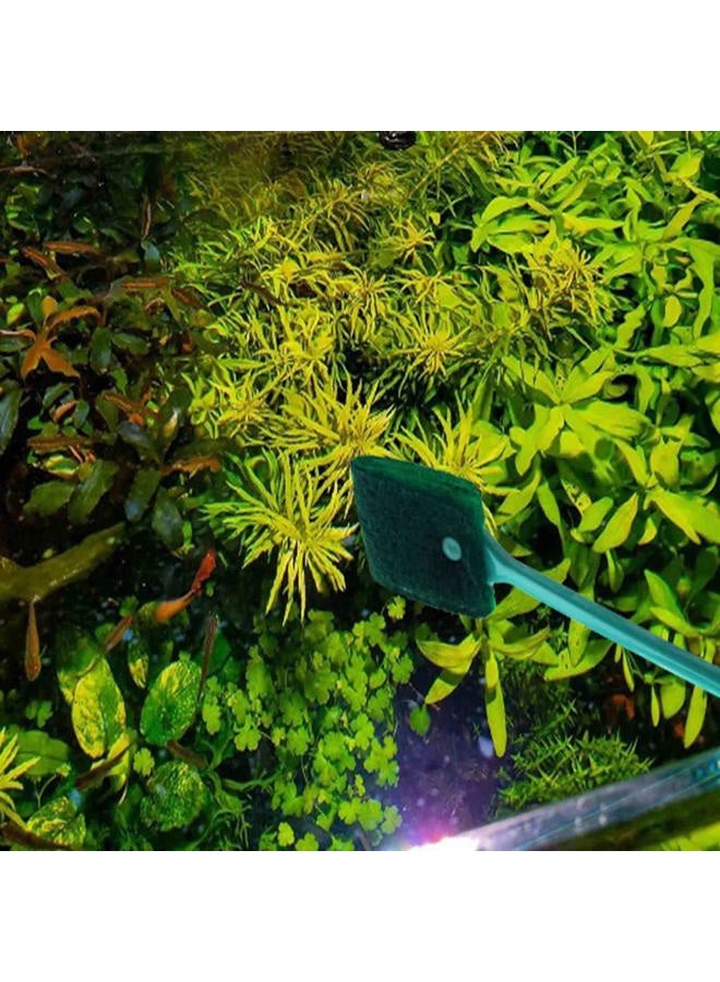 AOODOOM 3 PCS Double-Sided Aquarium Fish Tank Algae Cleaning Brush with Non-Slip Handle, Sponge Scrubber Cleaner for Glass Aquariums and Home Kitchen - Image 5