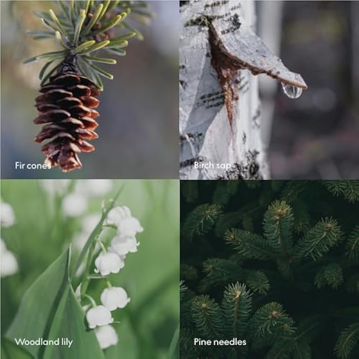 Skandinavisk Conditioner SKOG ‘Forest’ Scent notes: Pine needles and fir cones, birch sap and woodland lily of the valley, 16.91 fl. - Image 5