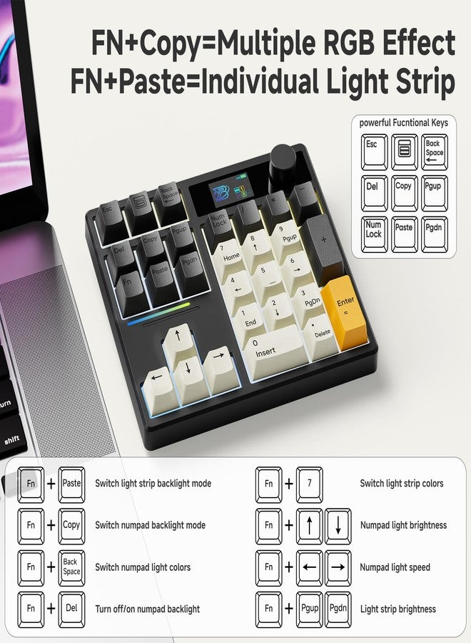 بوي لوحة أرقام ميكانيكية BOYI TD31Pro للوحات، بلوتوث 5.0/2.4 جيجا/تايب-سي، لوحة مفاتيح رقمية لاسلكية RGB قابلة للتبديل السريع مع شاشة ومقبض، مفاتيح PBT قابلة للبرمجة، - Image 5