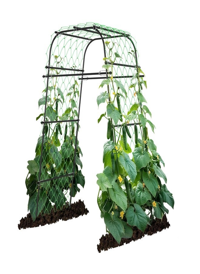 AlisisFores Garden Arch Plant Trellis for Climbing Plants Outdoor, Cucumber Trellis for Raised Bed, Grape Metal,Arbor Trellis Plant Support Flower Vegetables,Tomato Black,6.7FT Rust-Proof - Image 1