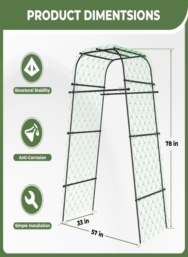 AlisisFores Garden Arch Plant Trellis for Climbing Plants Outdoor, Cucumber Trellis for Raised Bed, Grape Metal,Arbor Trellis Plant Support Flower Vegetables,Tomato Black,6.7FT Rust-Proof - Image 5