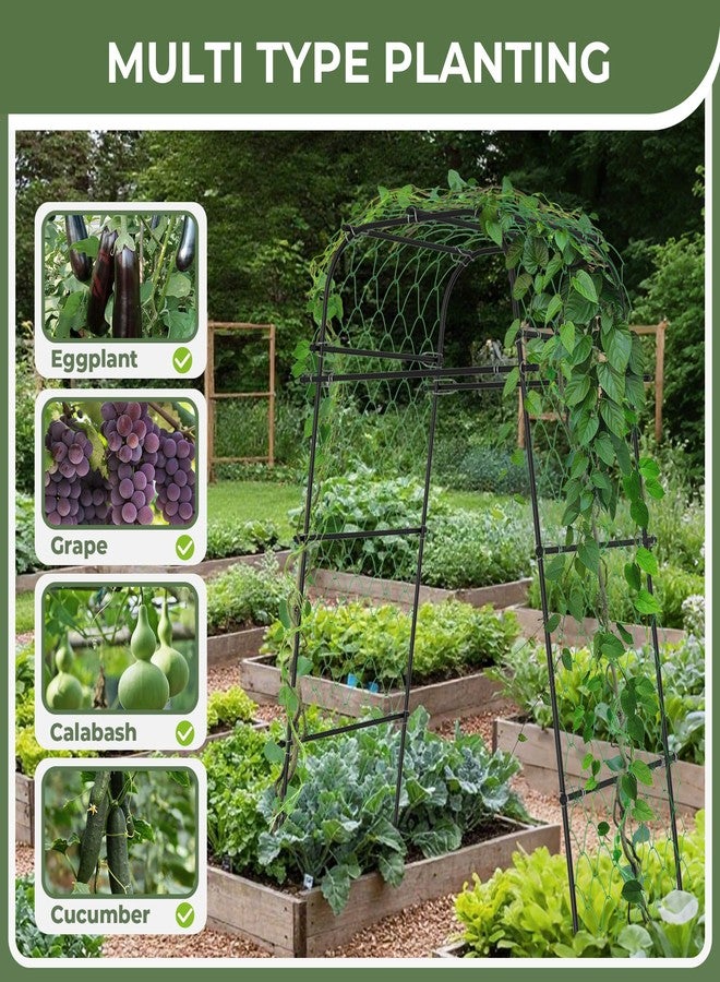 AlisisFores Garden Arch Plant Trellis for Climbing Plants Outdoor, Cucumber Trellis for Raised Bed, Grape Metal,Arbor Trellis Plant Support Flower Vegetables,Tomato Black,6.7FT Rust-Proof - Image 4