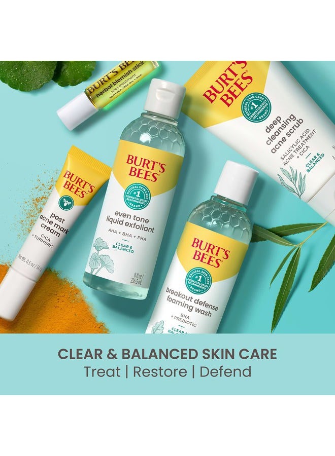 Burt's Bees Herbal Blemish Stick, 0.26 Fl Oz (Pack of 2), Tea Tree Oil Infused, Soothing, Exfoliating, Cleansing, Unisex - Image 5