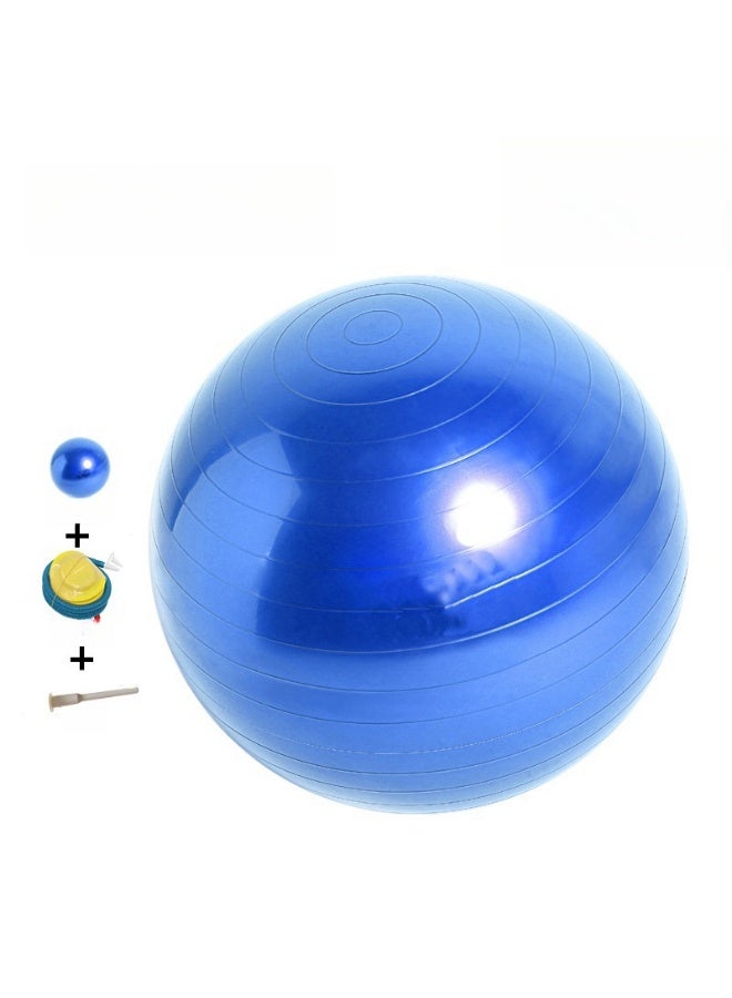 Yoga Gym Swiss Ball,Exercise Ball PVC Stability Balance Yoga Ball Chair Quick Pump for Physical Workout Pregnancy Home Office Gym Equipment - Image 3