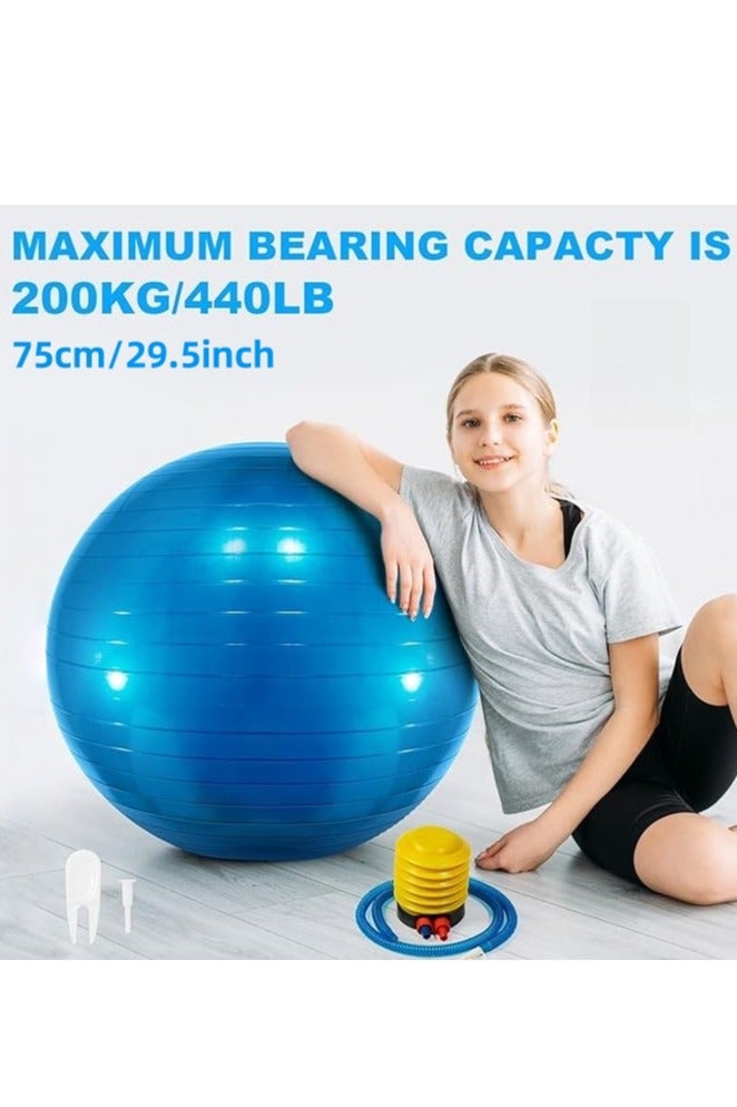 Yoga Gym Swiss Ball,Exercise Ball PVC Stability Balance Yoga Ball Chair Quick Pump for Physical Workout Pregnancy Home Office Gym Equipment - Image 1