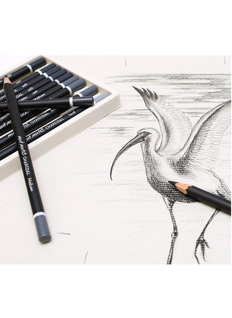 12-Piece Charcoal Pencils In Different Hardness For Sketching And Drawings